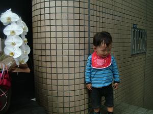 ハルト2回目｜「マツダガーデン」　（富山県富山市の花キューピット加盟店 花屋）のブログ